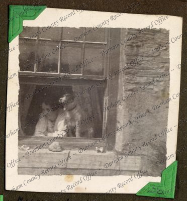 ref: D/DLI 7/71/5(36)