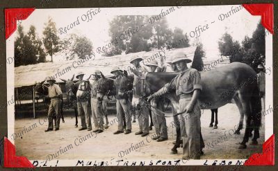 ref: D/DLI 7/71/5(115)