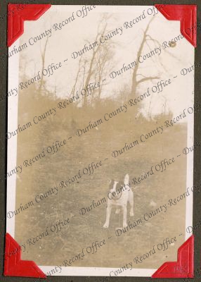 ref: D/DLI 7/71/5(143)