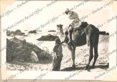 ref: D/DLI 7/74/19(31)