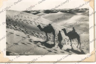 ref: D/DLI 7/74/19(36)