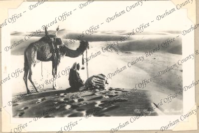 ref: D/DLI 7/74/19(37)