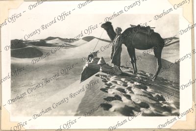 ref: D/DLI 7/74/19(38)