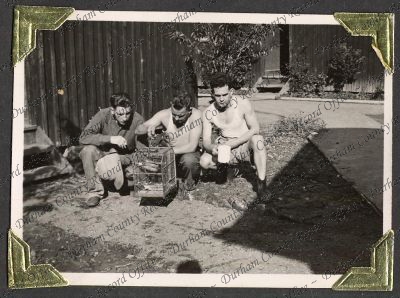 ref: D/DLI 7/82/1(49)