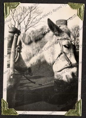 ref: D/DLI 7/82/1(77)