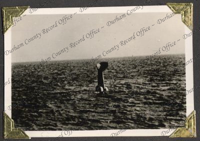 ref: D/DLI 7/82/2(103)