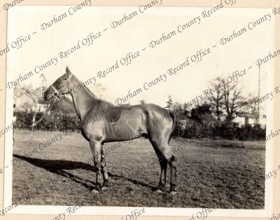 ref: D/DLI 7/87/2(12)