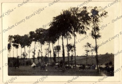 ref: D/DLI 7/87/2(33)