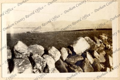 ref: D/DLI 7/87/2(37)