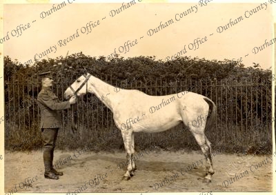 ref: D/DLI 7/87/2(44)