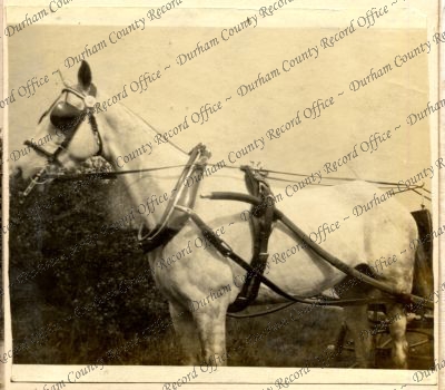 ref: D/DLI 7/87/2(45)