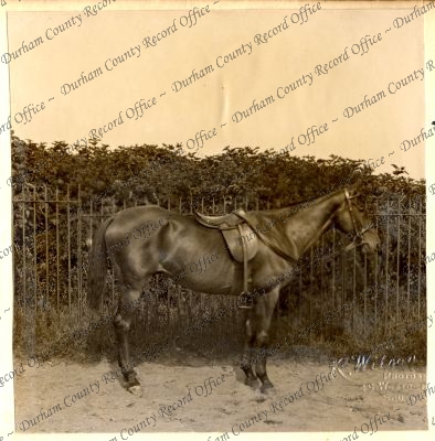 ref: D/DLI 7/87/2(46)