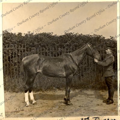 ref: D/DLI 7/87/2(48)