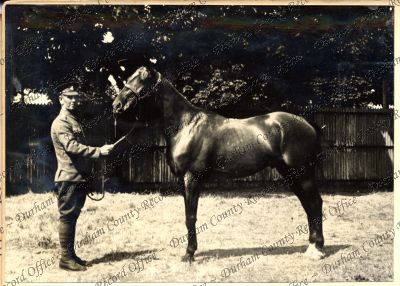 ref: D/DLI 7/87/2(59)