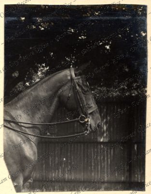 ref: D/DLI 7/87/2(60)