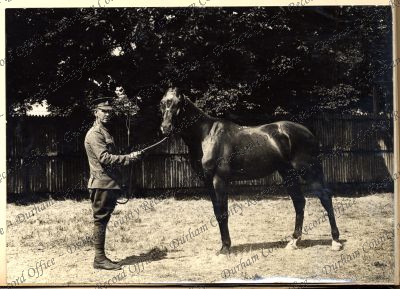 ref: D/DLI 7/87/2(61)