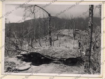 ref: D/DLI 7/121/13(9)