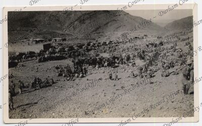 ref: D/DLI 7/142/132