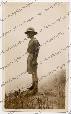 ref: D/DLI 7/142/175