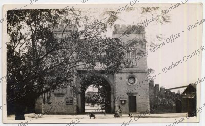 ref: D/DLI 7/142/197