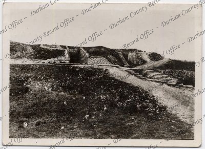 ref: D/DLI 7/142/220