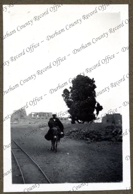 ref: D/DLI 7/152/1(18)