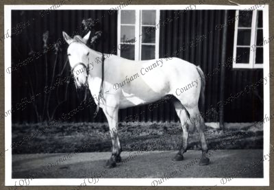 ref: D/DLI 7/152/1(93)