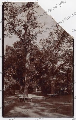 ref: D/DLI 7/189/207