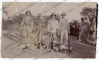 ref: D/DLI 7/189/295