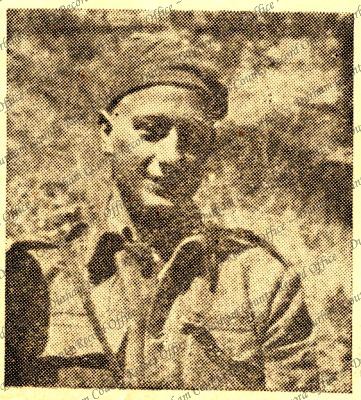 ref: D/DLI 7/193/11(43)