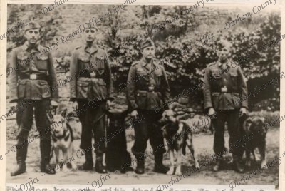 ref: D/DLI 7/208/6(41)