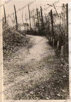 ref: D/DLI 7/208/6(45)