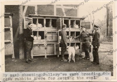 ref: D/DLI 7/208/6(60)