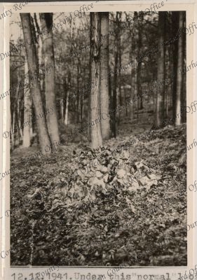 ref: D/DLI 7/208/7(39)