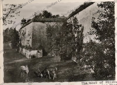 ref: D/DLI 7/208/7(158)