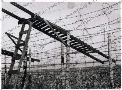 ref: D/DLI 7/208/138