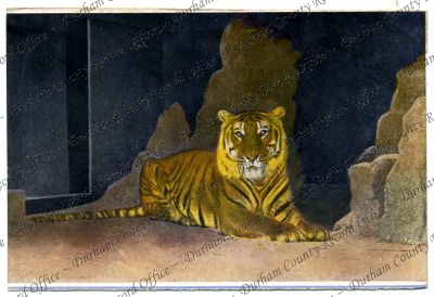 ref: D/DLI 7/244/22(2)