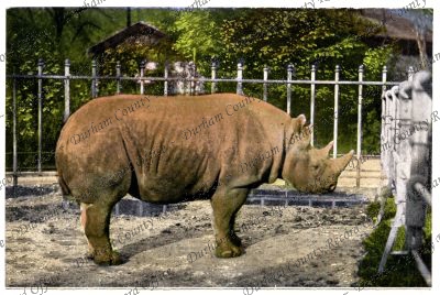 ref: D/DLI 7/244/22(5)