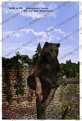 ref: D/DLI 7/244/22(6)