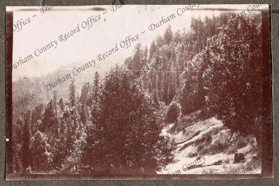 ref: D/DLI 7/270/1(15)