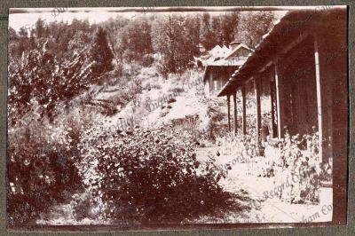 ref: D/DLI 7/270/1(16)