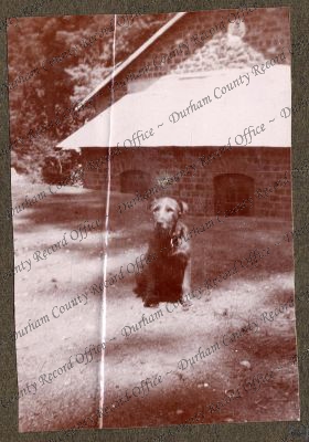 ref: D/DLI 7/270/1(24)