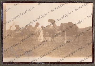 ref: D/DLI 7/270/1(30)