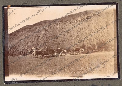 ref: D/DLI 7/270/1(31)