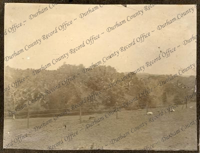 ref: D/DLI 7/270/1(41)