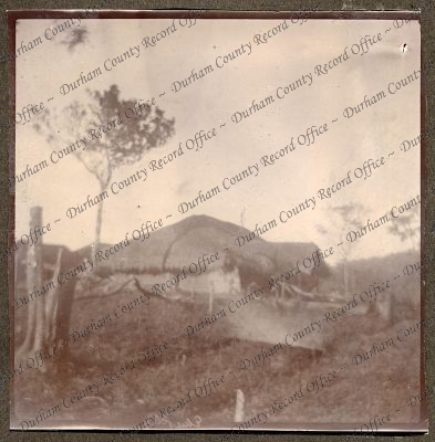 ref: D/DLI 7/270/1(50)