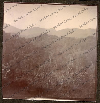 ref: D/DLI 7/270/1(51)