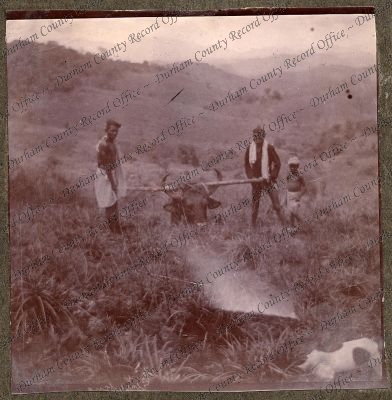 ref: D/DLI 7/270/1(54)