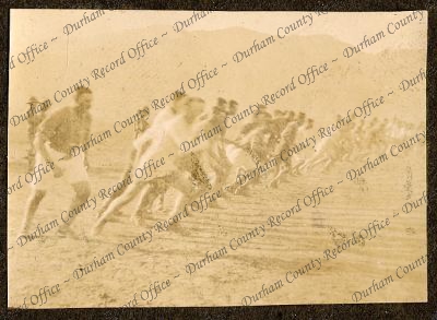 ref: D/DLI 7/270/1(65)