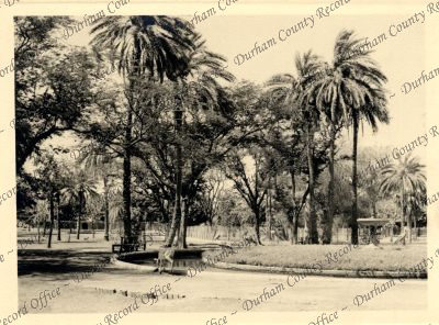 ref: D/DLI 7/301/1(1)